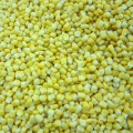 IQF Frozen Vegetables Sweet Corn